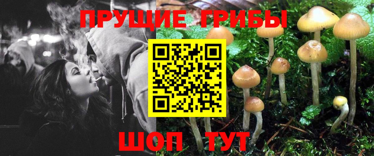 Галлюциногенные грибы прущие грибы Шебекино